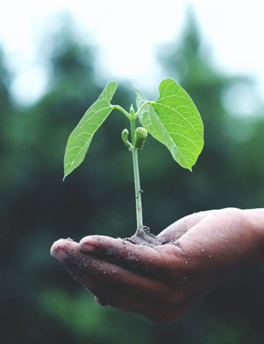 水处理药剂研发及生产