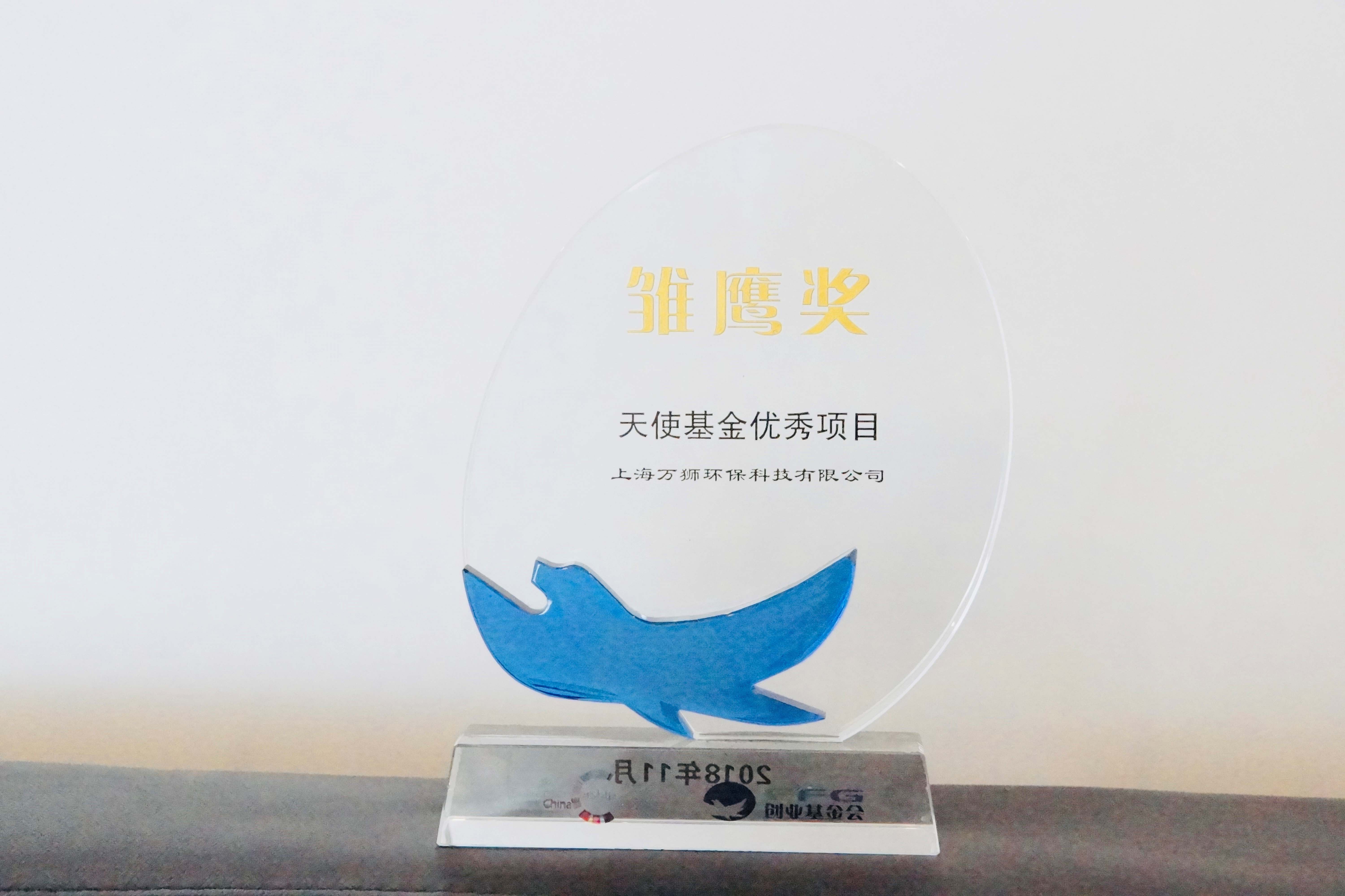 雏鹰奖天使基金优秀项目奖杯