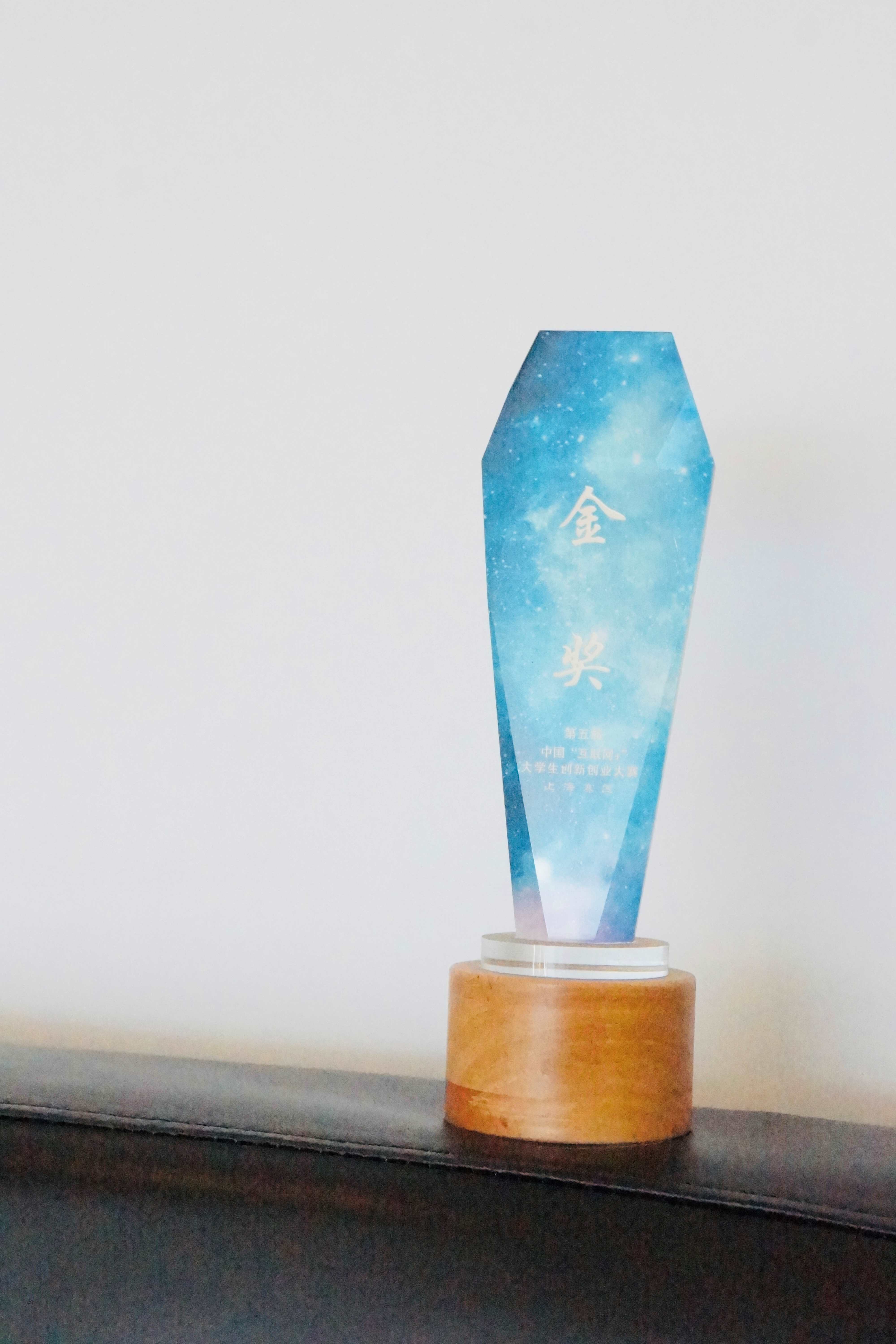 第五届中国“互联网”大学生创新创业大赛金奖